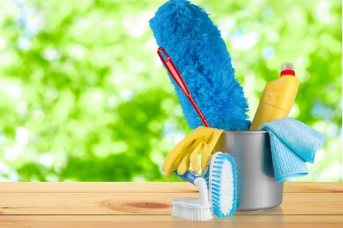 Domestic cleaning for a SW13 family home interior