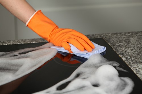 Bathroom and living area cleaning in a Barnes SW13 home