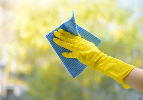 Cleaner carpet fibers after professional carpet cleaning in SW13