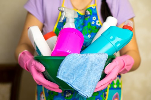 Local cleaners working in a SW13 home near Barnes