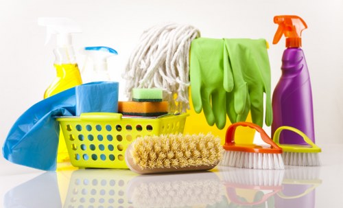 Professional sofa upholstery cleaning in a SW13 home