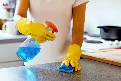 Carpet care service with customer responsibilities and site preparation
