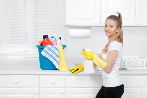 Regular commercial cleaning for a small office in Barnes and the wider SW13 area