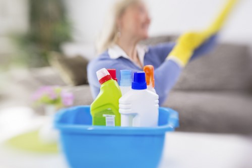 Professional cleaning supplies prepared for a SW13 property visit
