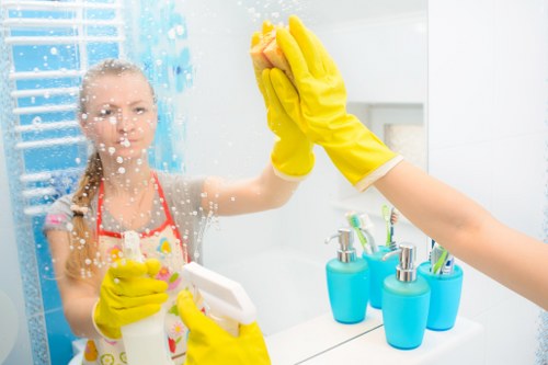 Professional domestic and deep cleaning services in SW13